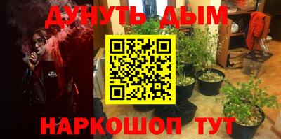 apvp Тулун
