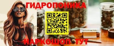 apvp Тулун